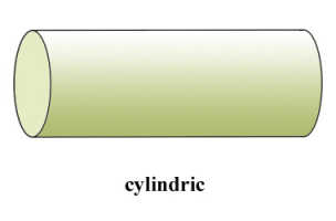 Cylindrical: 