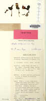Corybas subalpinus: Corybas subalpinus P.Royen, herbarium sheet, Royen, van NGF 16151, isotype specimen (L)