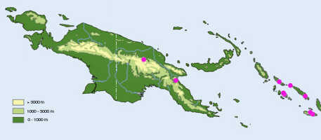 Map: Dendrobium lewisiae Schuit. & de Vogel, distribution map.