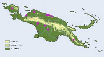 Map: Dendrobium transversilobum J.J.Sm., distribution map.