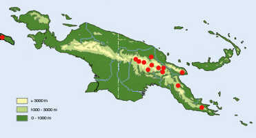 Map: Dendrobium nebularum Schltr., distribution map, redrawn from T.M. Reeve & P.J.B. Woods, Notes Roy. Bot. Gard. Edinburgh 46 (1989) 289, map 16.