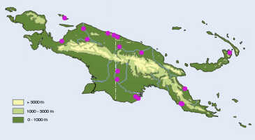 Map: Cadetia collina Schltr., distribution map.