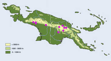 Map: Dendrobium macrolobum J.J.Sm., distribution map.