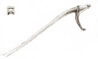 Dendrobium sitanalae: Dendrobium sitanalae J.J.Sm., drawing J.J. Smith, based on Sitanala 11218