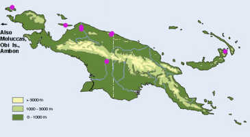 Map: Dendrobium umbellatum (Gaudich.) Rchb.f., distribution map.