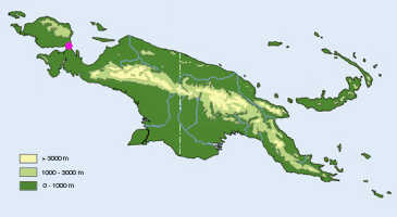 Map: Dendrobium ceratostyloides J.J.Sm., distribution map.