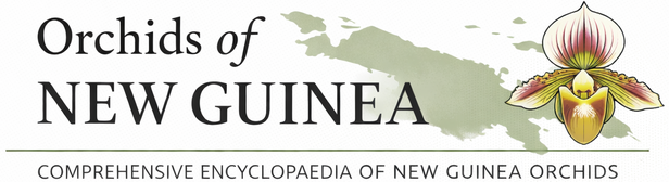 Orchids of New Guinea - Comprehensive Encyclopaedia of New Guinea Orchids